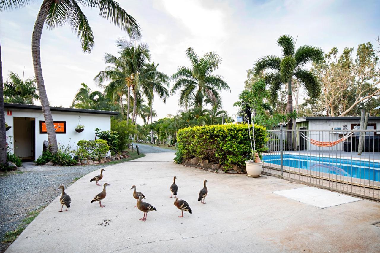 Bush Village Holiday Cabins Airlie Beach Ngoại thất bức ảnh