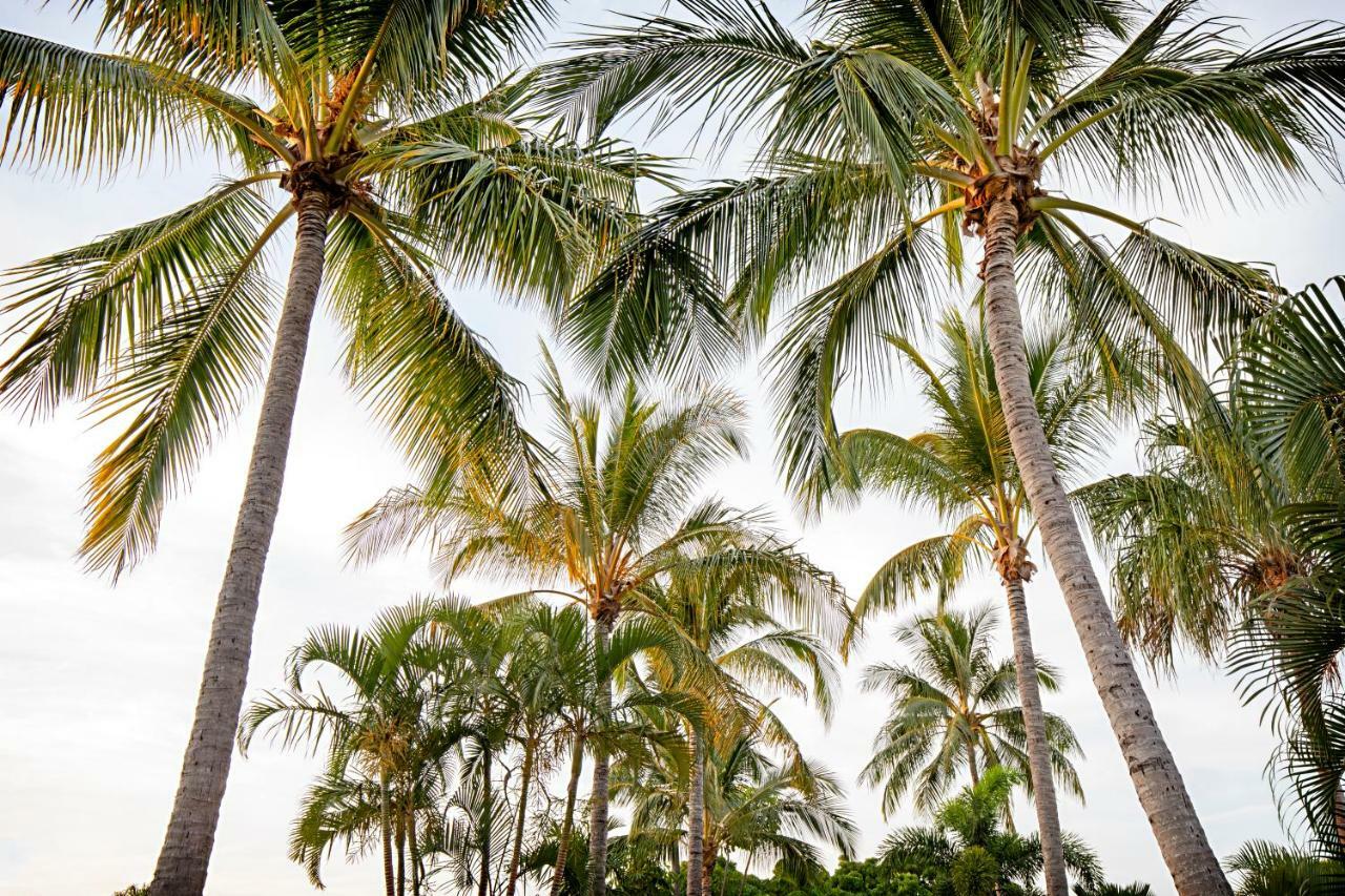 Bush Village Holiday Cabins Airlie Beach Ngoại thất bức ảnh